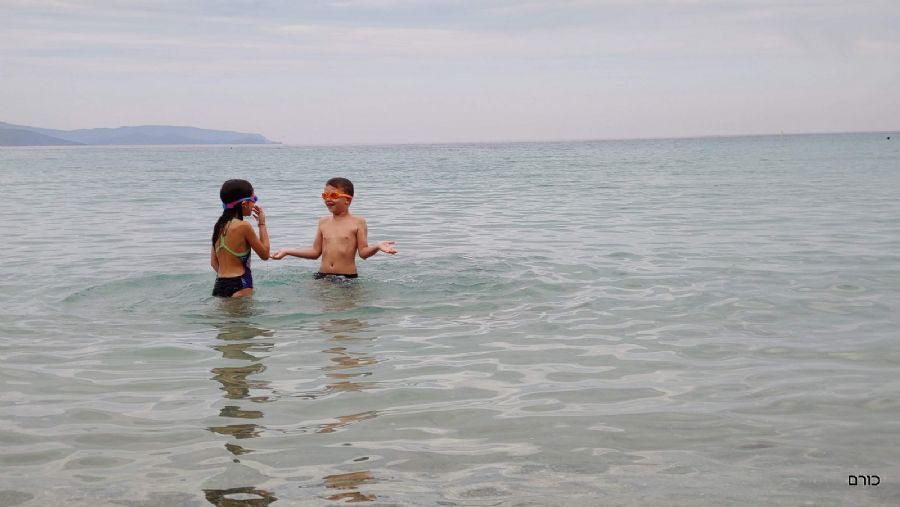 חוף ווליסמה